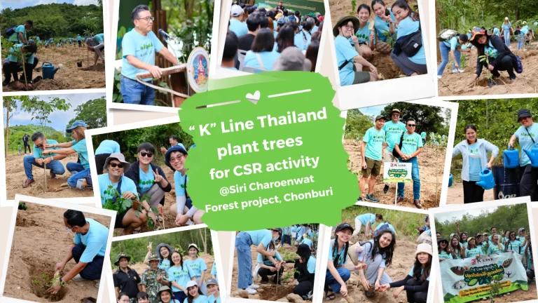 CSR 2023 K Line plant tree photo